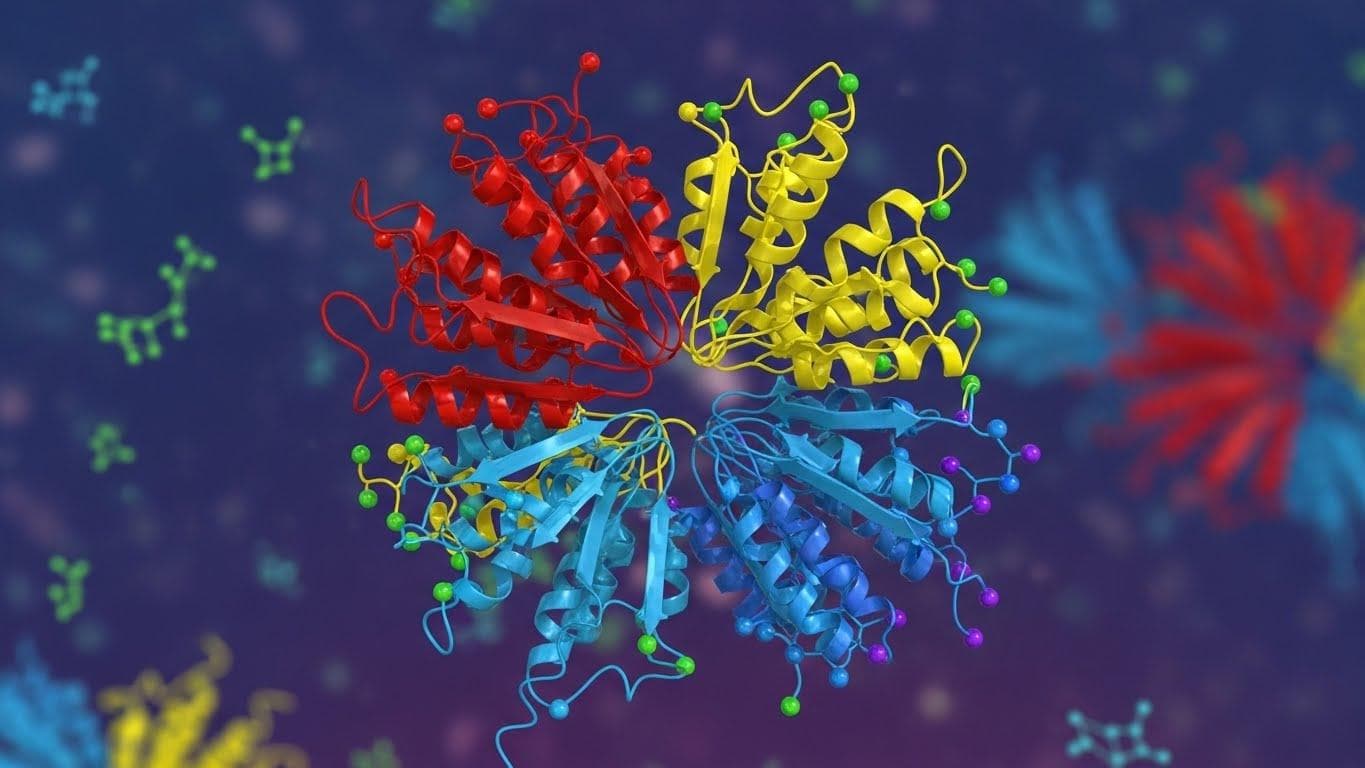 A detailed and beautiful 3D rendering of a complex protein structure, with its amino acid chains twisting and folding into their final form.
